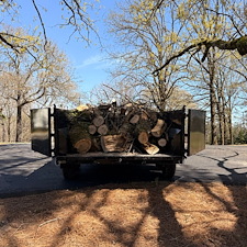 Fallen-Tree-And-Limb-Pickup-In-Oxford-MS 3